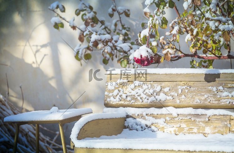 冬日花园中积雪飞扬的长凳