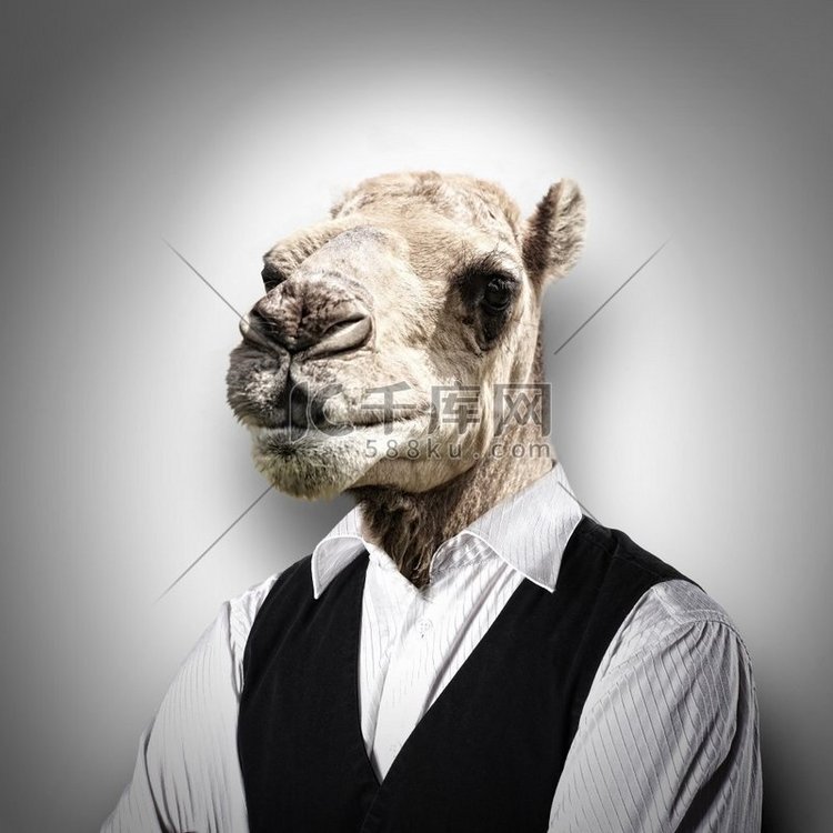 一只穿着西装的滑稽骆驼的肖像。