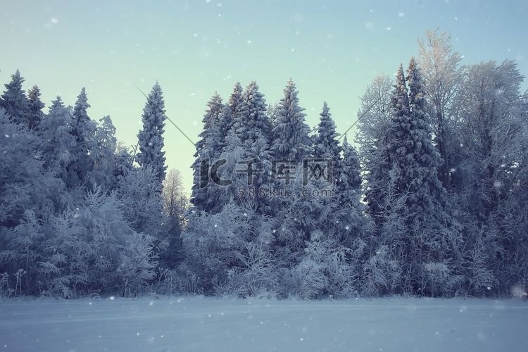 冬天的风景在森林/下雪的天气在
