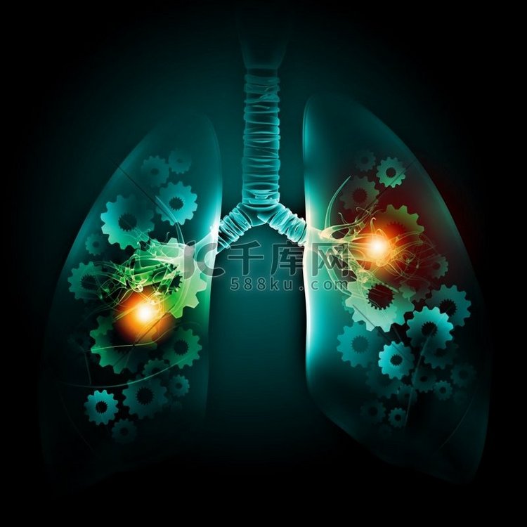 人类的肺。具有齿轮式机构的人体