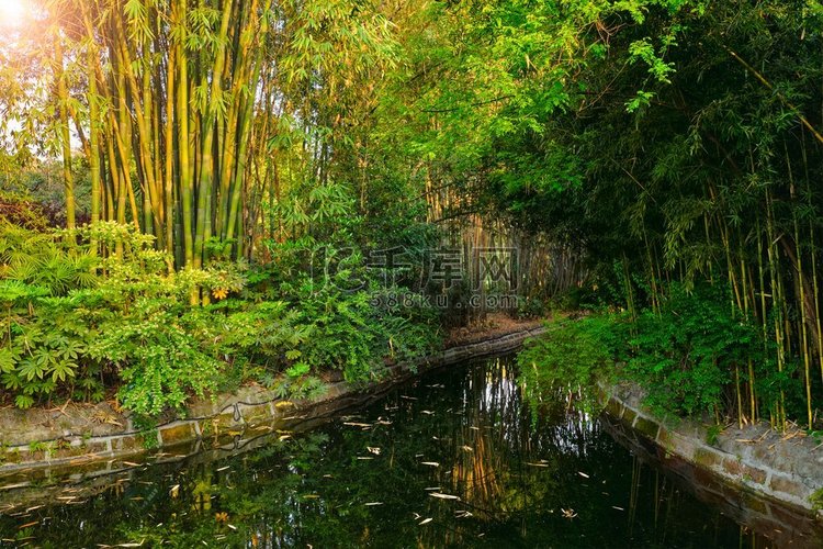 中国成都的竹子公园。中国成都公