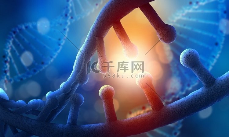 DNA分子概念图。以DNA分子