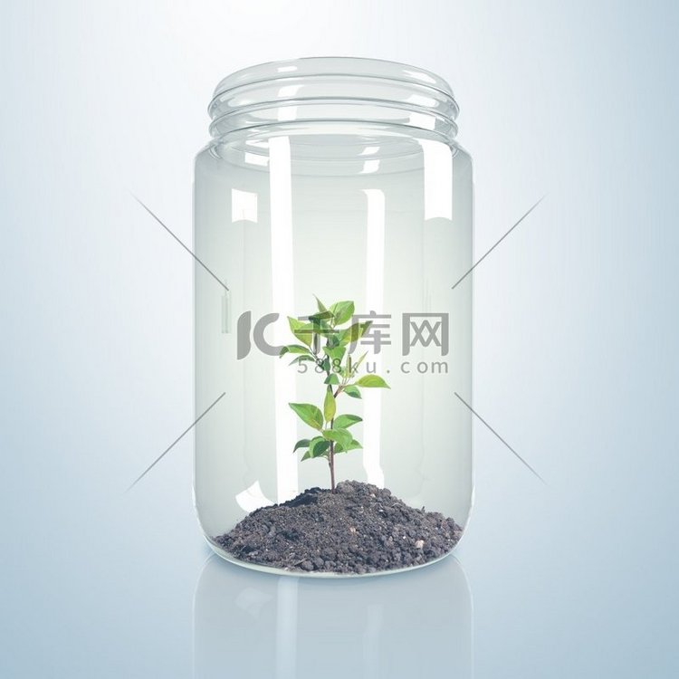 绿芽和土壤内的玻璃罐