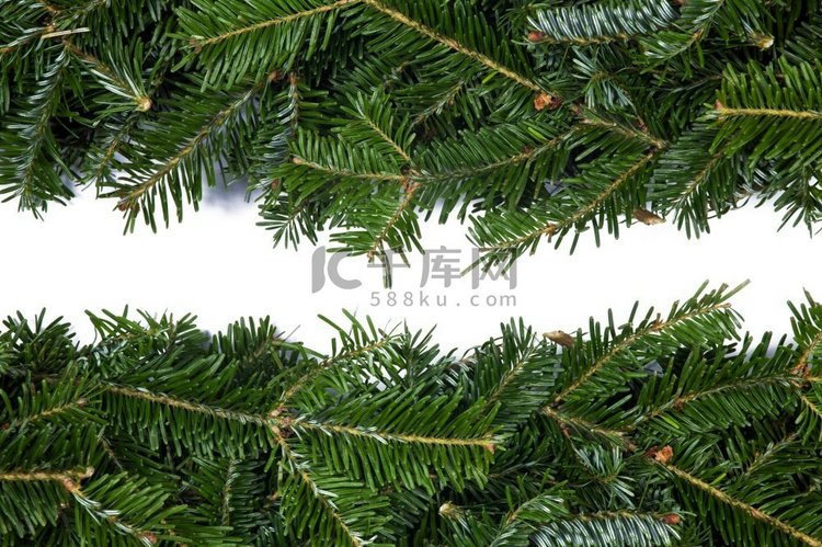 天然冷杉圣诞树边框孤立在白色，