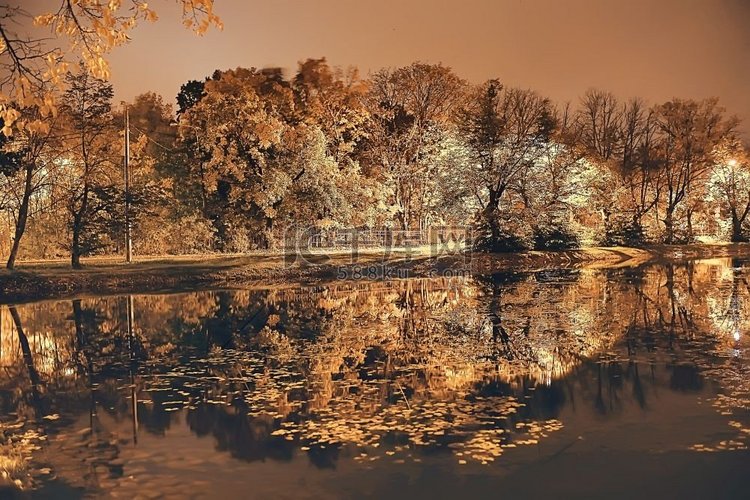 晚上秋天公园风景/美丽的夜晚在