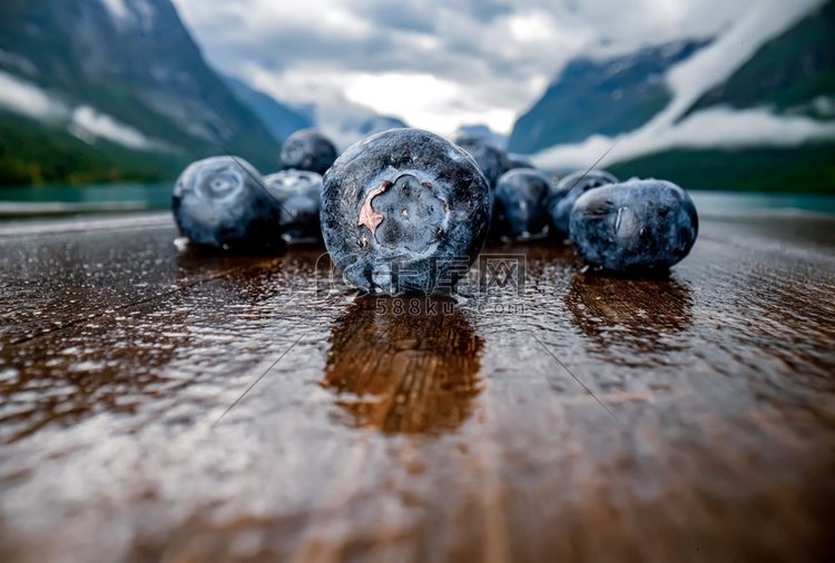 蓝莓抗氧化剂在挪威自然背景的木