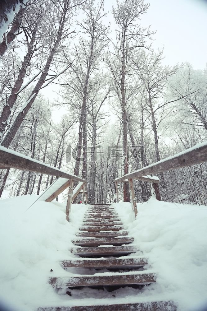 冰雪寒冷气候背景