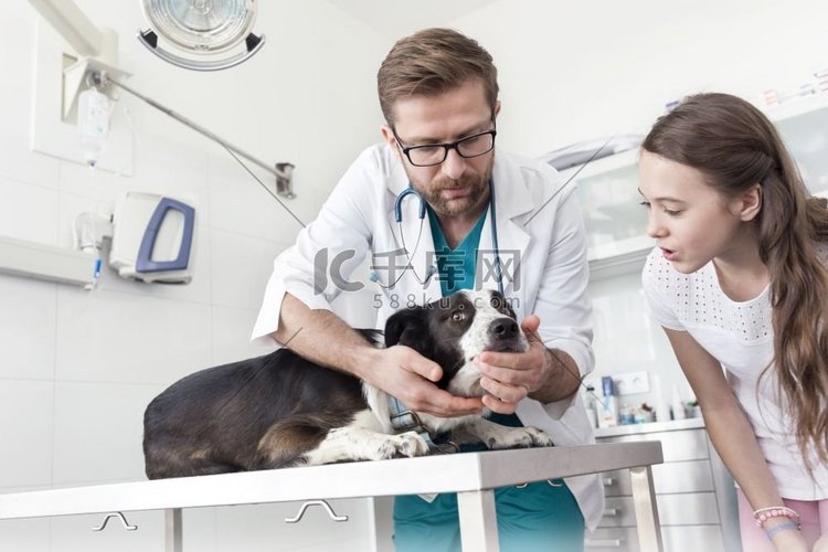 女孩看兽医检查狗在表在诊所