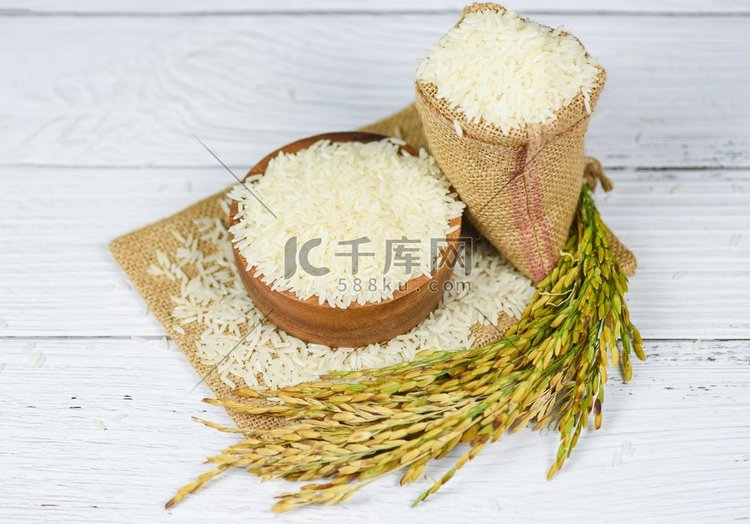 生茉莉花米粒与穗稻田农产品食品