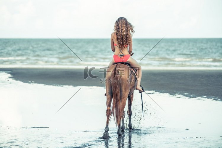 妇女时装模特骑在海滩的马在夏天
