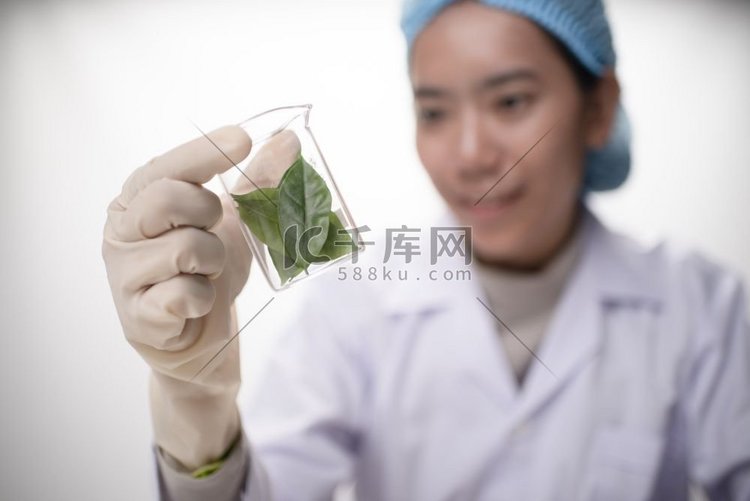 医生女科学家做草药在实验室与草