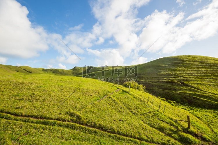 美丽的乡村风景的新西兰在日出