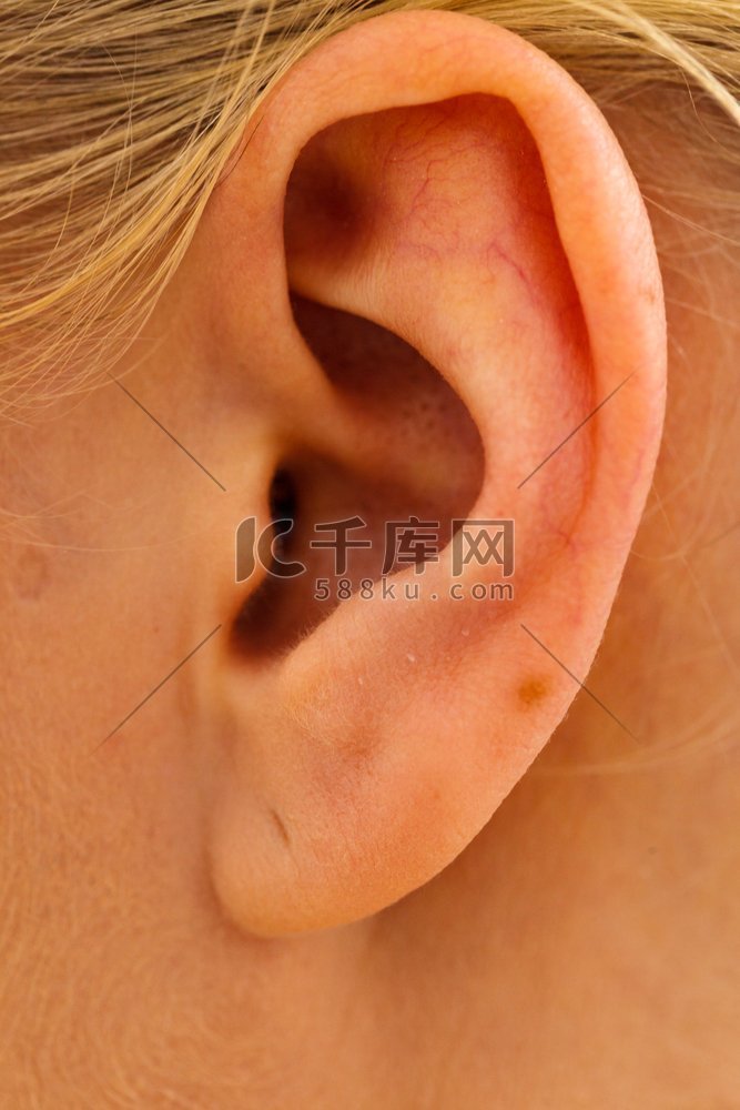 女人耳朵的特写人体细节部分概念