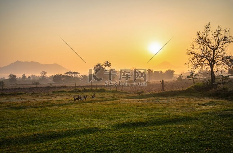 农村风景领域和草甸日出美丽的早