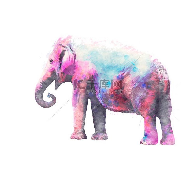 大象女性水彩在白色背景