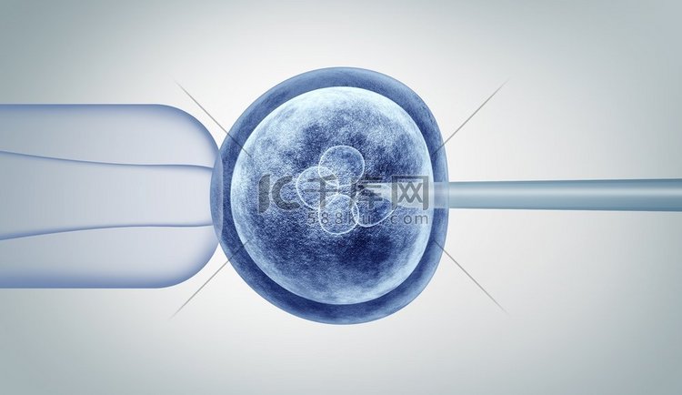 遗传，体内，体外，CRISPR