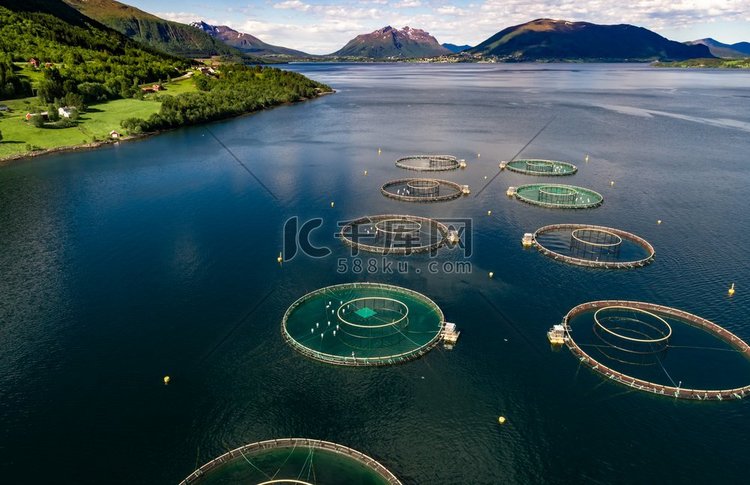 挪威的农场鲑鱼捕捞空中摄影。