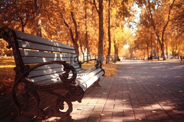 秋季公园景观花园长凳