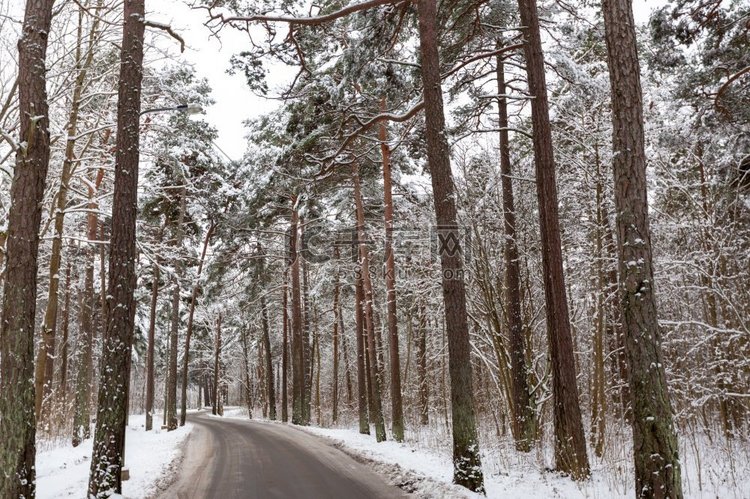 冬天，自然和季节的概念—道路在