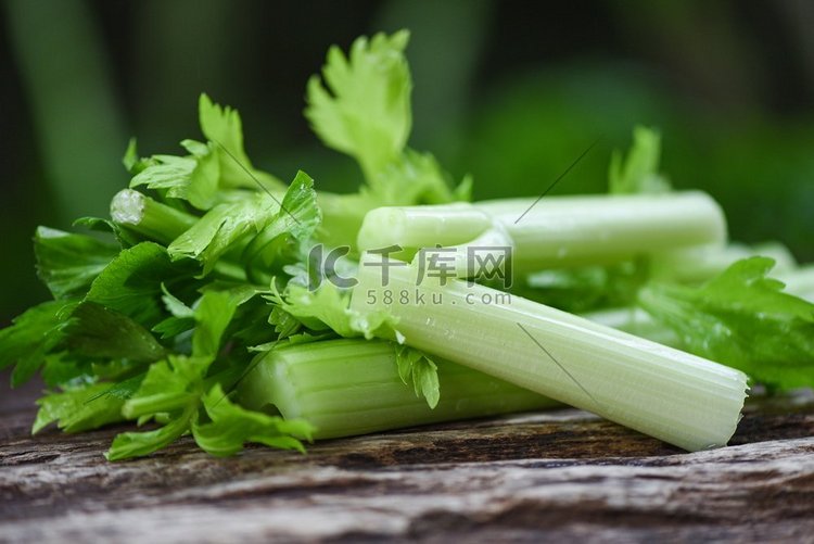 新鲜芹菜蔬菜/束芹菜茎与叶子在