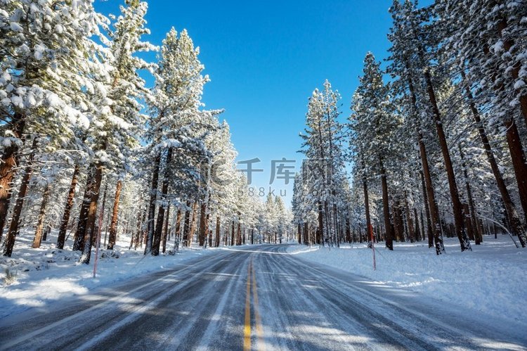 冬季的风景白雪覆盖的森林。圣诞