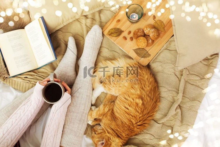猫、咖啡、书、床