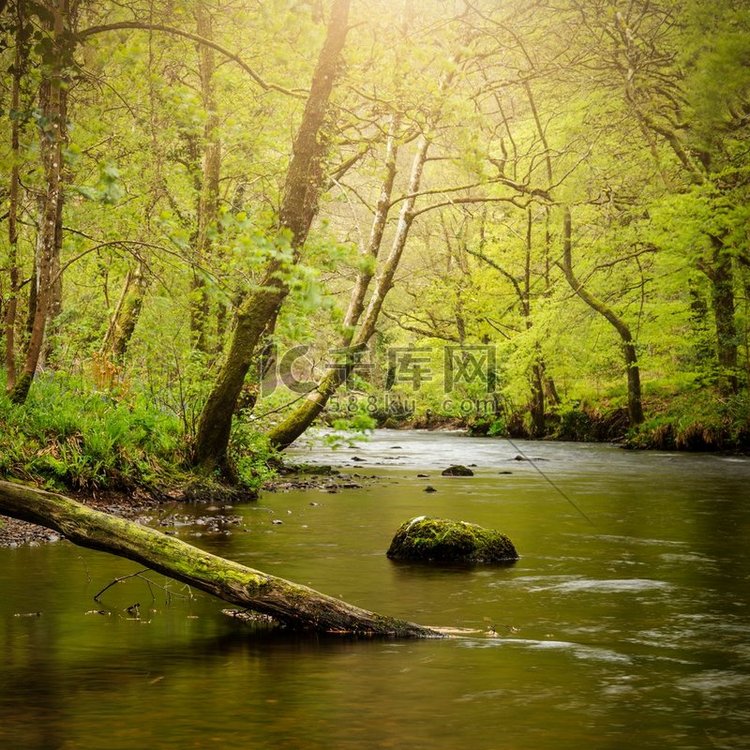 泰恩河流经英国乡村郁郁葱葱的绿