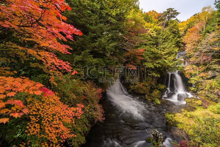 秋天秋天的森林在Ryuzu瀑布