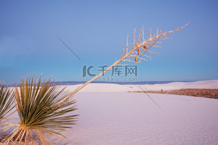 美国新墨西哥州的白沙沙丘