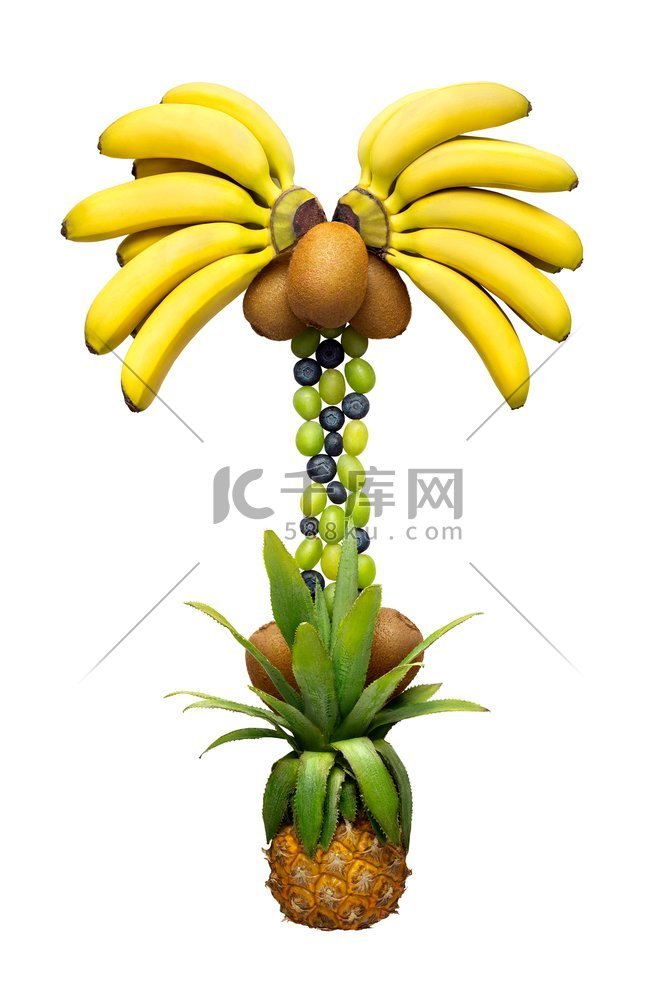 蔬菜棕榈..创造性概念照片棕榈