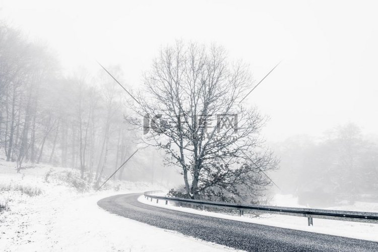 孤独的树在公路曲线在冬天与雪和