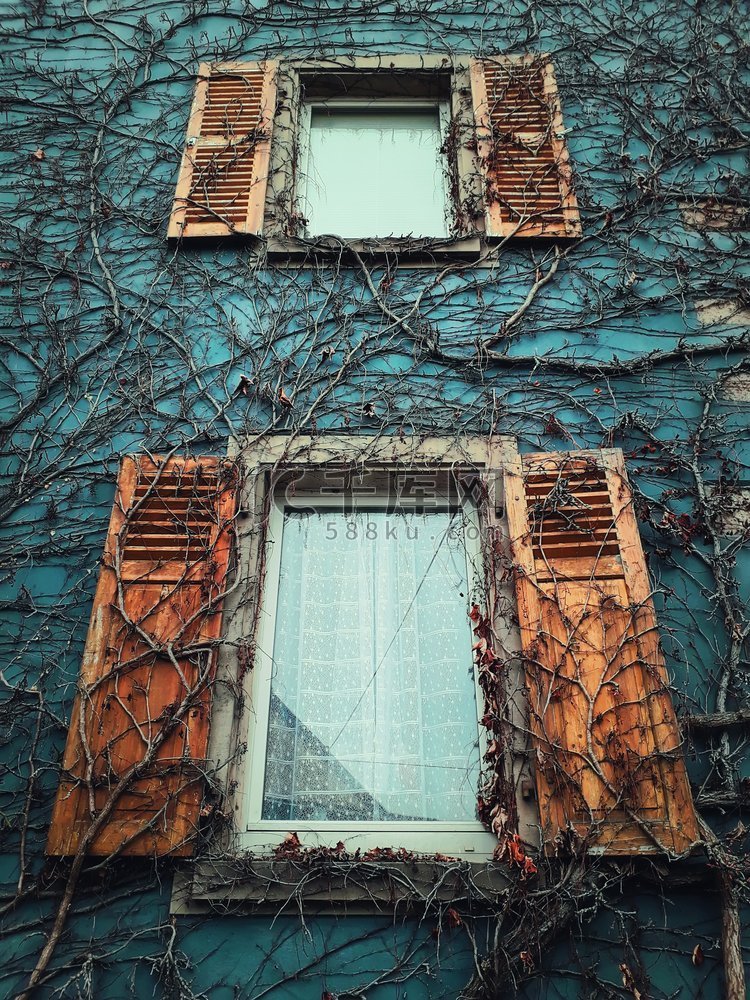 两个木窗户和蓝色墙壁纹理与干燥