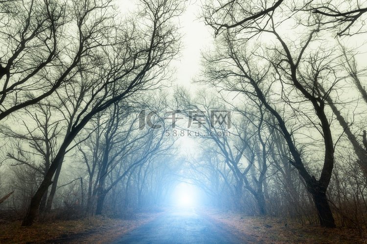 道路穿过可怕的神秘森林与蓝色的