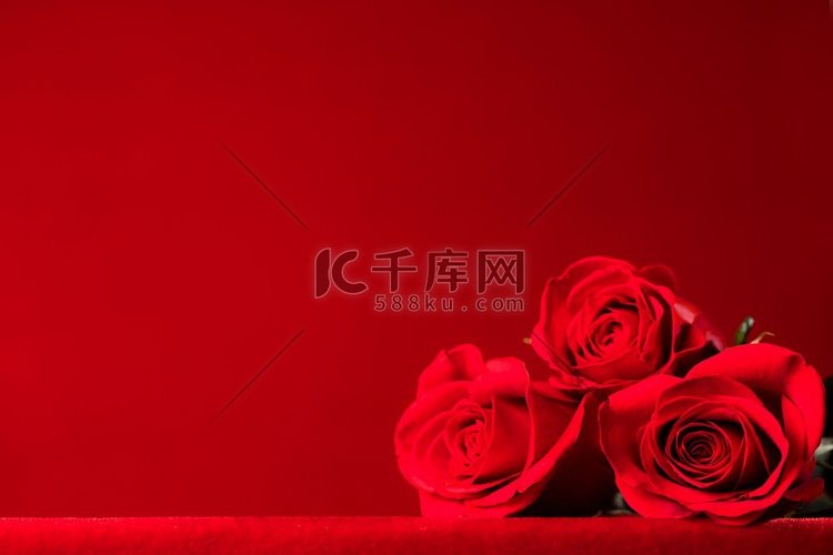 三朵美丽的红玫瑰，以红色为背景