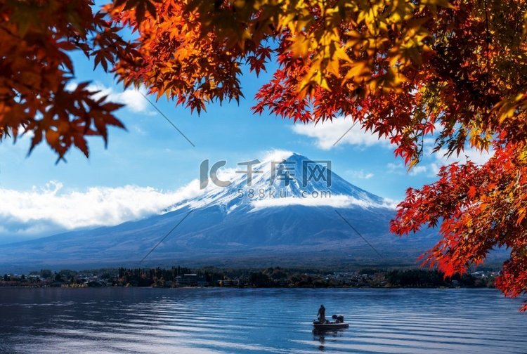  秋天，秋天，颜色，背景