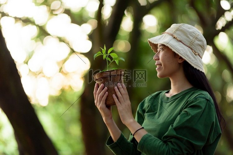  一个亚洲妇女的形象在植树的概