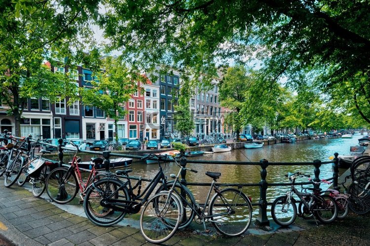 荷兰、自行车、桥梁、运河