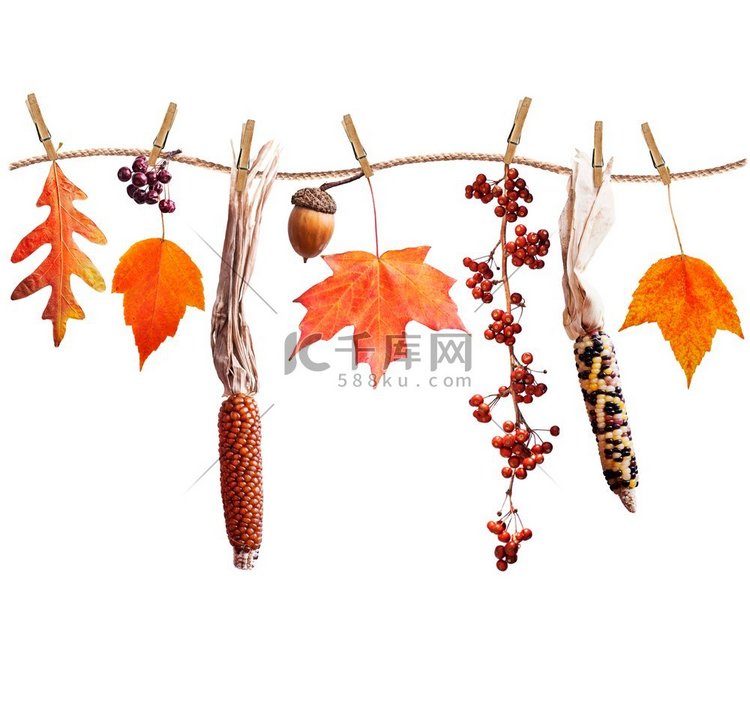 五颜六色的秋天叶子浆果和种子安