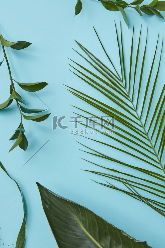 垂直的蓝色背景装饰绿色叶子孤立