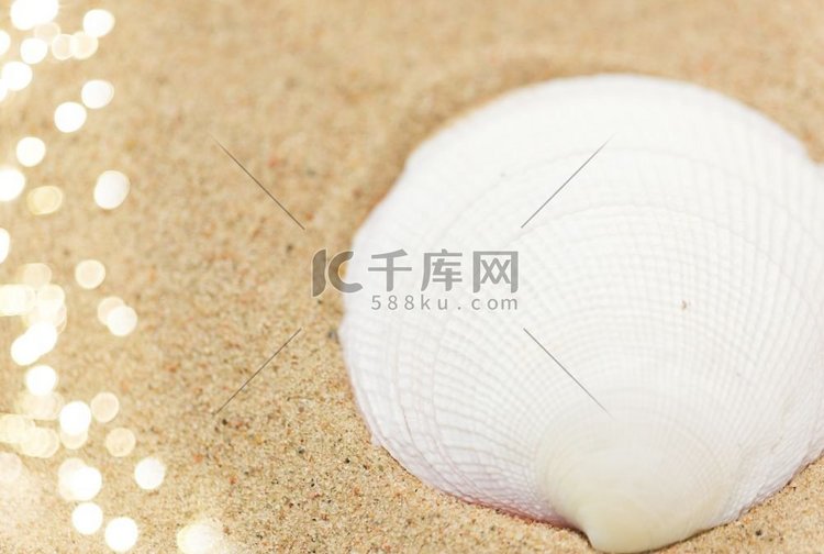 假期和暑假概念—海滩沙滩贝壳。