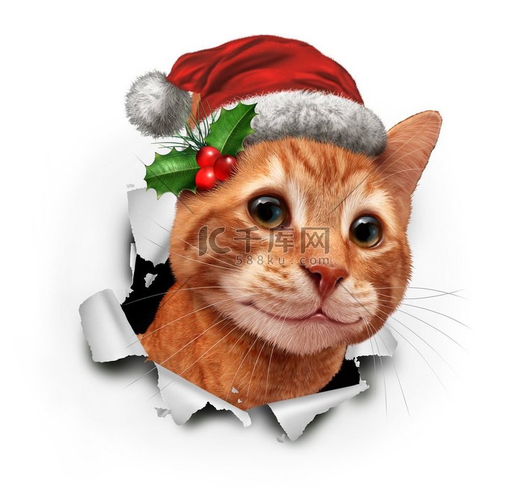 节日猫穿着红色圣诞帽爆发出纸与