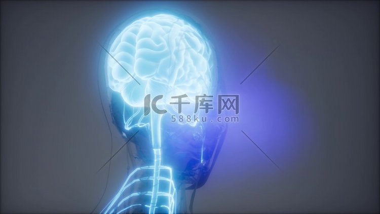 科学解剖学扫描显示人类大脑发光