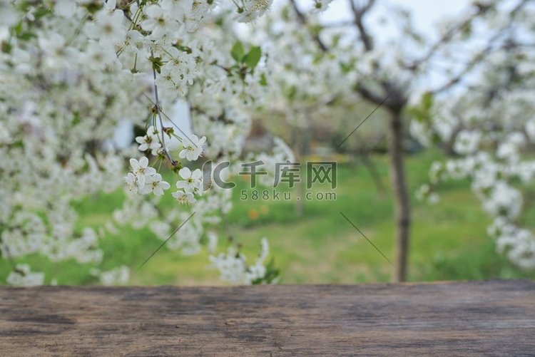 春天里空荡荡的木质甲板桌子。空