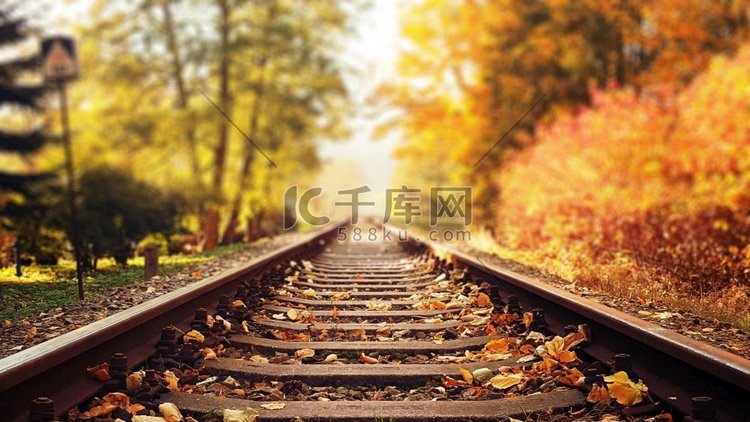 五彩缤纷，秋天的落叶落在铁轨上