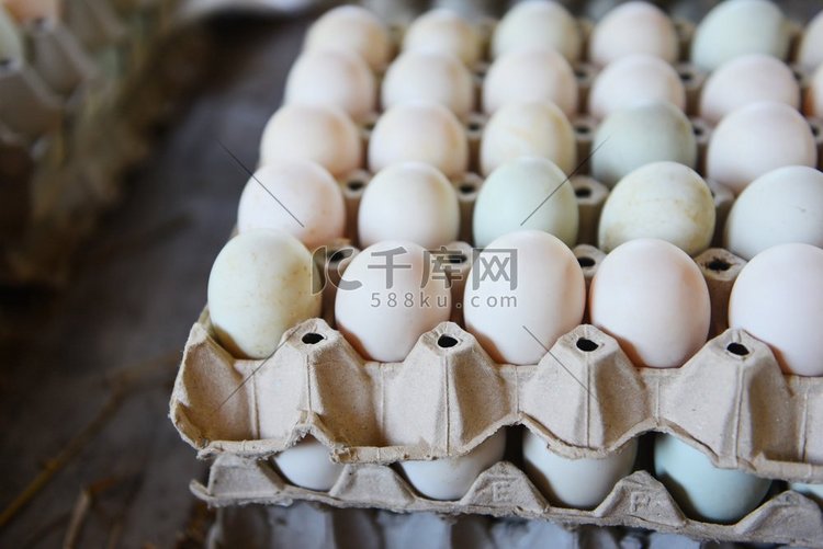 新鲜鸡蛋白色鸭蛋盒/从农场生产