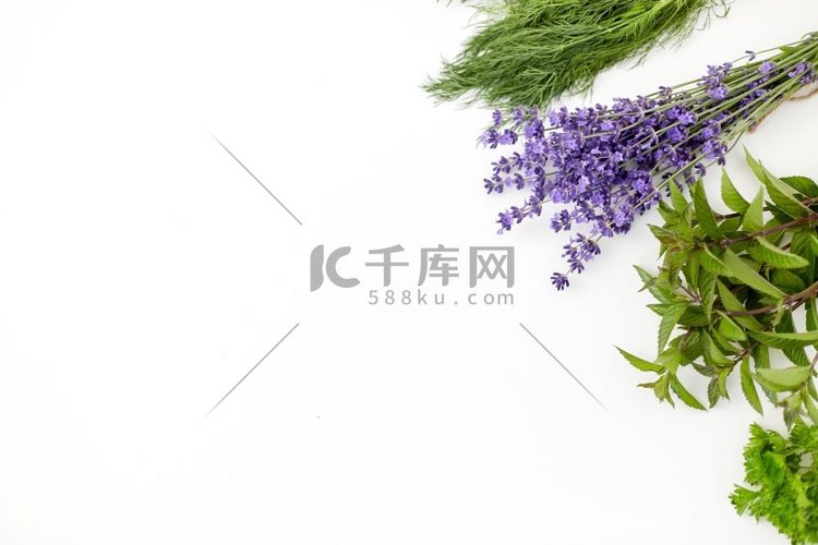  茴香，欧芹，薄荷，香草