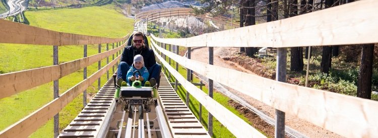 兴奋的年轻父亲和儿子驾驶在高山