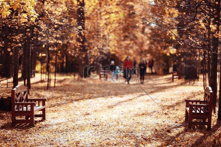秋天公园里的长凳，娱乐