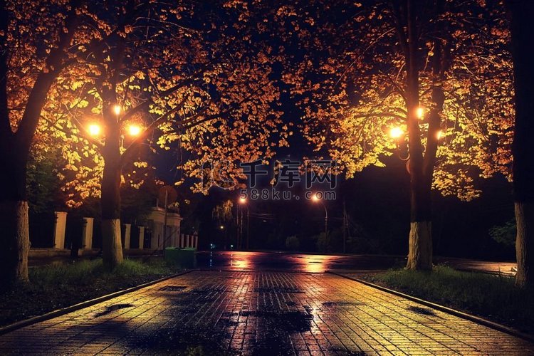 秋天的夜晚景观在公园小巷树木