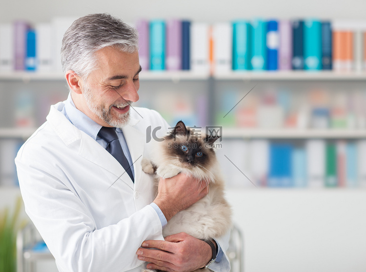 猫在兽医诊所